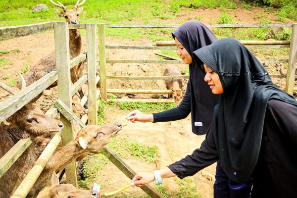 Petualangan Seru di Tahura, goa belanda, goa jepang bandung Bersama Siswi SMP Dar'El Auliya Boarding School (21) Petualangan Seru di Tahura, goa belanda, goa jepang bandung Bersama Siswi SMP Dar'El Auliya Boarding School (21)