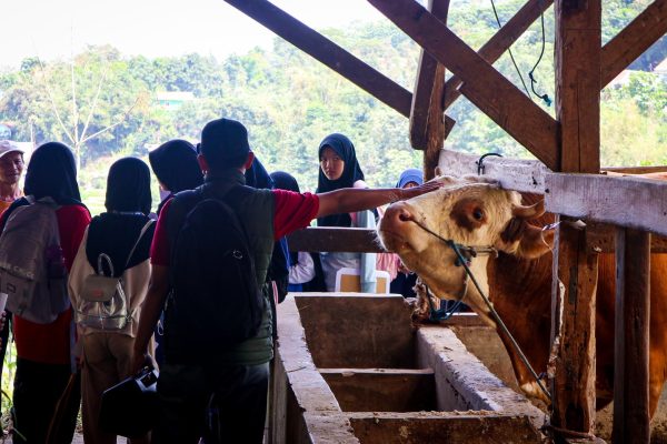 Outing Class Taksonomi & Rescue Hewan Reptil (40)