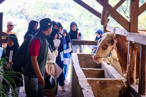 Outing Class Taksonomi & Rescue Hewan Reptil (41)